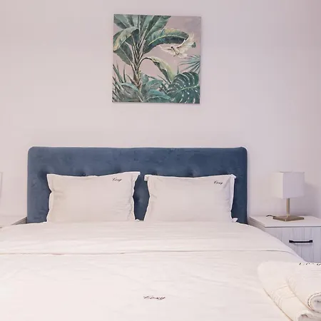 Collection And Flats - Coresi Mall Apartment *