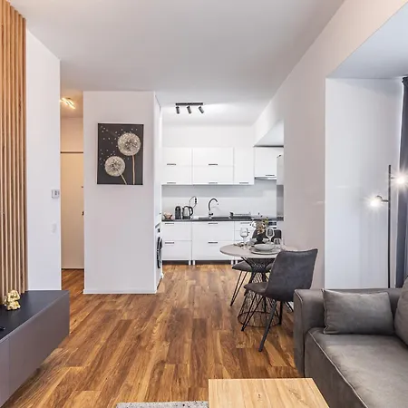 Cozy Collection And Flats - Coresi Mall Apartment