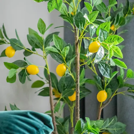 Apartment Cozy Collection And Flats - Coresi Mall