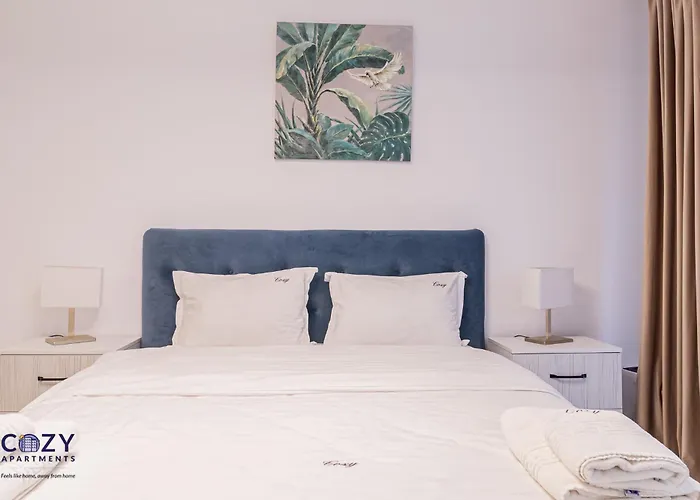 Collection And Flats - Coresi Mall 公寓 *