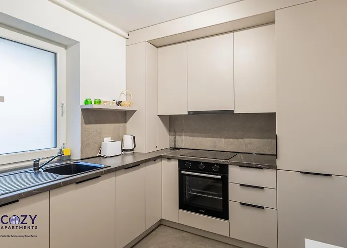 公寓 Collection And Flats - Coresi Mall