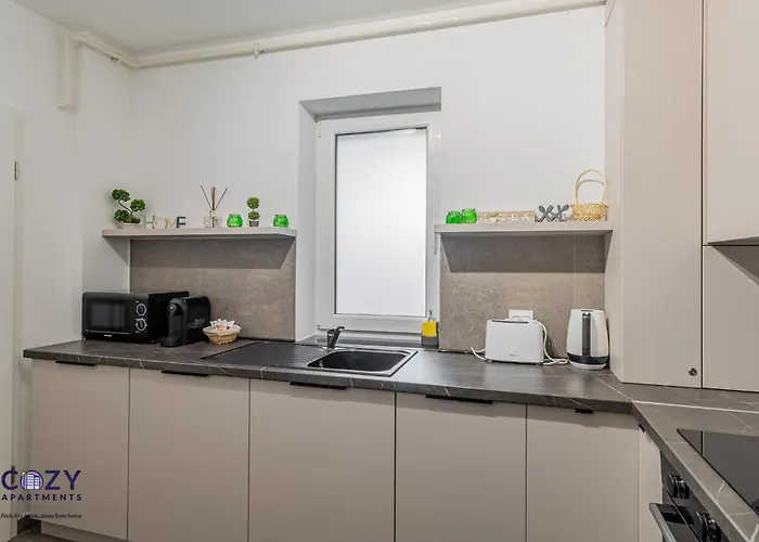 公寓 Collection And Flats - Coresi Mall 布拉索夫