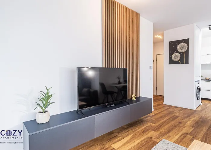 Collection And Flats - Coresi Mall 公寓 *