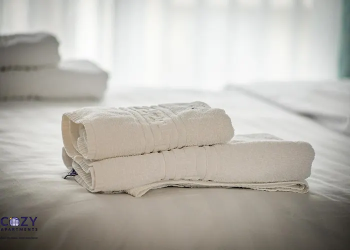 Collection And Flats - Coresi Mall 公寓 布拉索夫