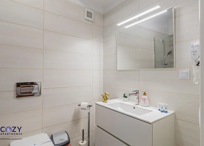 公寓 Collection And Flats - Coresi Mall 布拉索夫