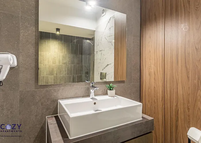 公寓 Collection And Flats - Coresi Mall *