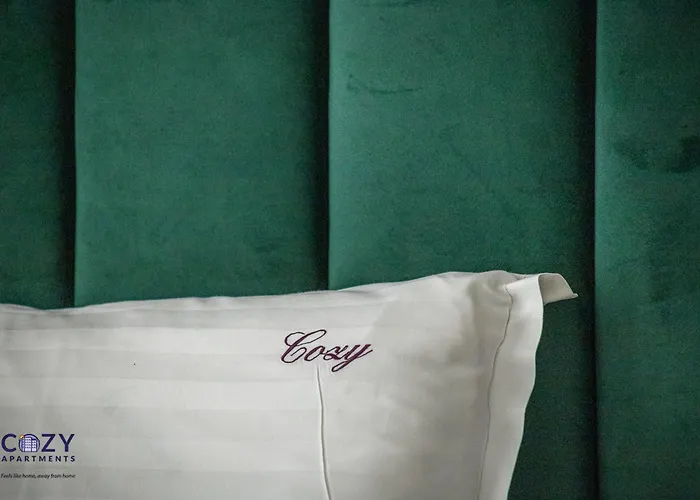 公寓 Collection And Flats - Coresi Mall 布拉索夫