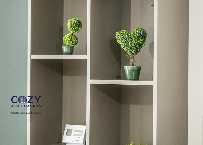 公寓 Collection And Flats - Coresi Mall *