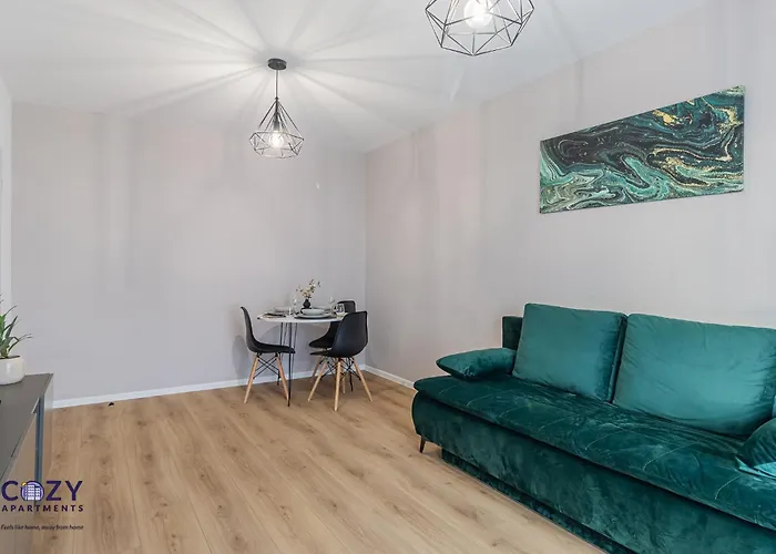 公寓 Collection And Flats - Coresi Mall 布拉索夫