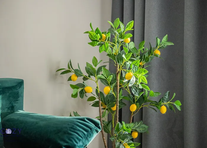 Collection And Flats - Coresi Mall 布拉索夫