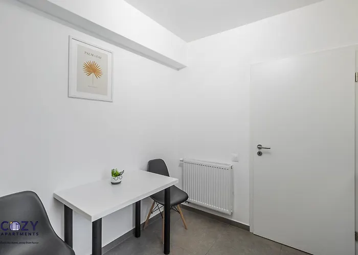 Collection And Flats - Coresi Mall * 布拉索夫